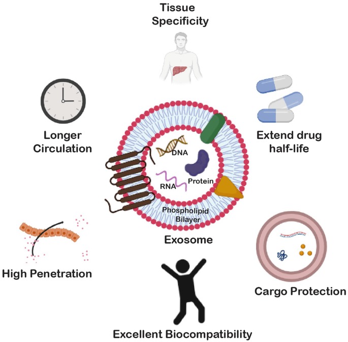 Why Exosome Therapy